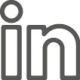 ICM-People-LI-icon