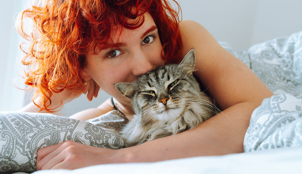 Visual_Online_Ausschreibung_HDM-ND